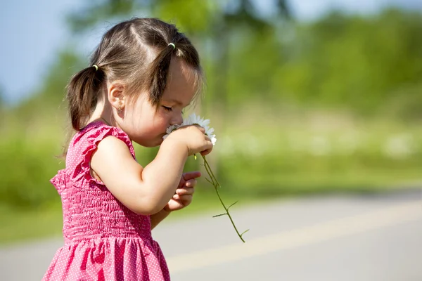 Flor que huele a niño —  Fotos de Stock