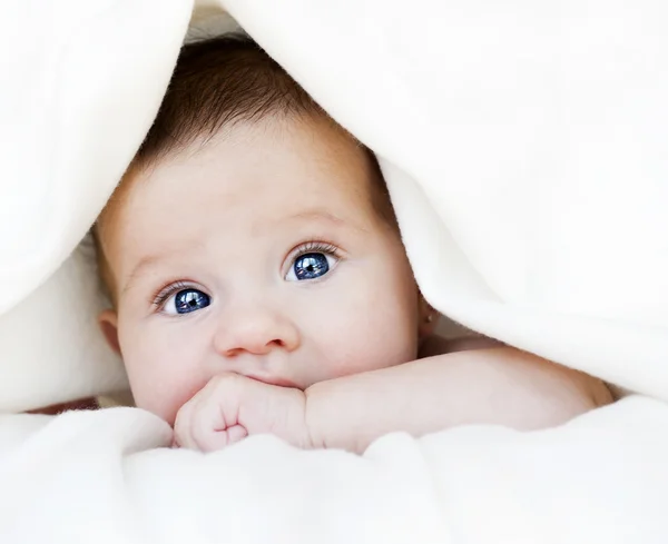 Baby under blanket Stock Photo