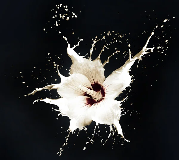 白色溅花 — 图库照片