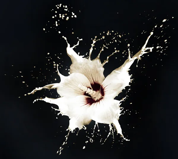 Weiße Spritzblumen Stockbild