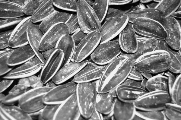 Suflower Seeds — Stock Photo, Image