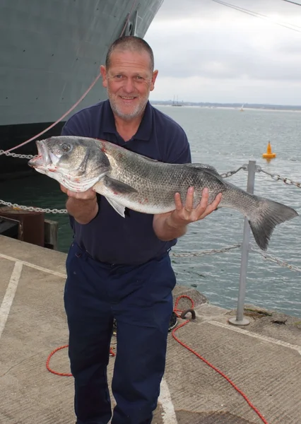 Grande Seabass — Fotografia de Stock