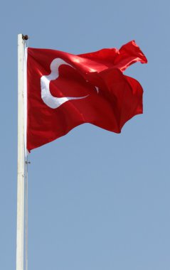 Türkiye'nin bayrak