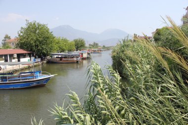 Nehri boyunca tekne