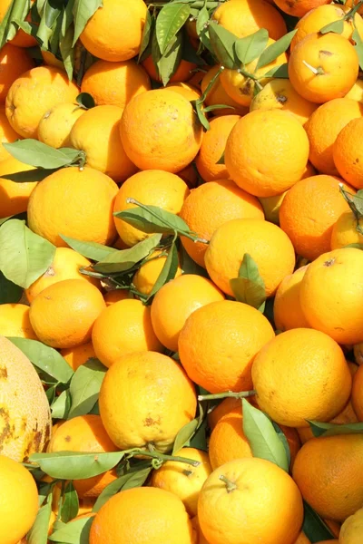 Prodotti freschi del mercato delle arance — Foto Stock