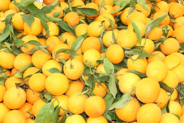 Produtos frescos do mercado de laranjas — Fotografia de Stock