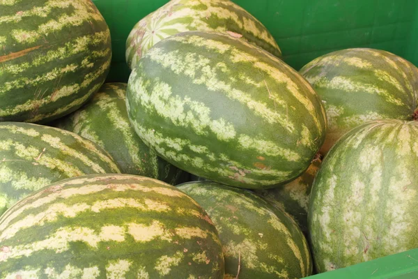 Fresh market produce of water melon — Stock Photo, Image