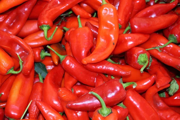 stock image Fresh market produce of red peppers