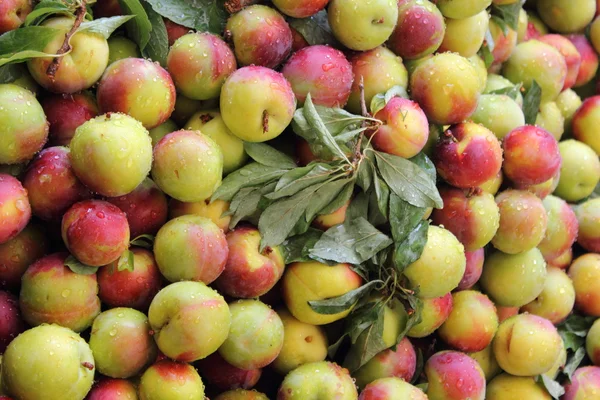 Produtos frescos do mercado de maçãs — Fotografia de Stock