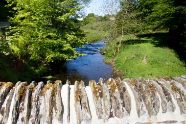 Simonsbath bridge and the River Barle in Exmoor in Devon clipart