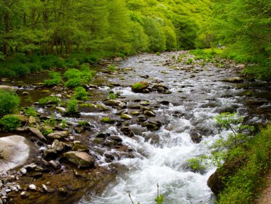 watersmeet nehrine lynmouth Devon doğru aşağı bakıyor