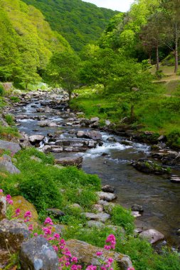 Nehrin Lynmouth watersmeet Devon için çalışıyor