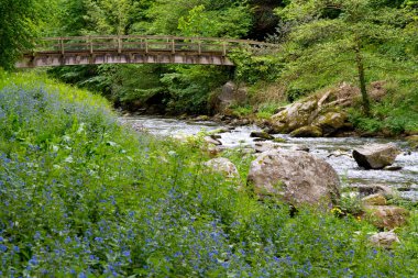 Devon watersmeet lynmouth yakınındaki nehrin lyn üzerinde köprü