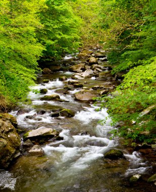 Watersmeet yürüyüş boyunca Devon lynmouth yakınındaki nehrin lyn