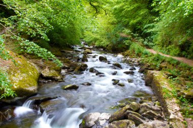 Watersmeet and the River Lyn near Lynmouth in Devon clipart