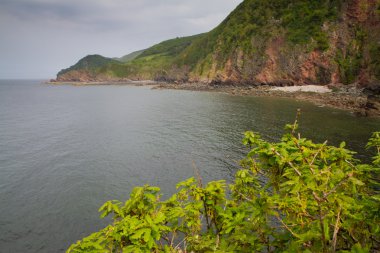 lynton ve Devon, İngiltere'ye lynmouth yakınındaki odunsu Körfezi