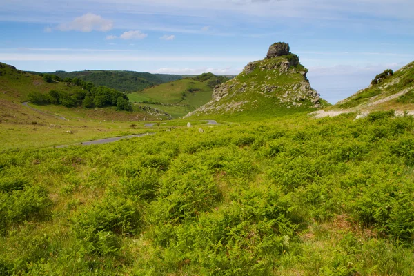Zamkowej skale w dolinie skały w pobliżu lynton devon — Zdjęcie stockowe