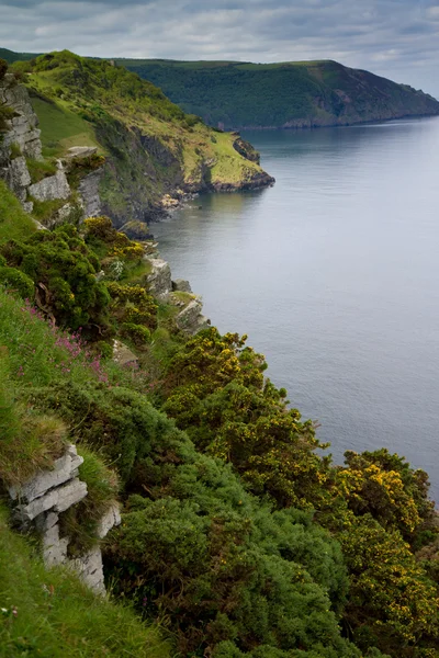 The coastline of the Valley of Rocks near Lynton Devon — Stock Photo, Image