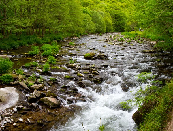 Watersmeet looking down the river towards Lynmouth in Devon — Stock Photo, Image