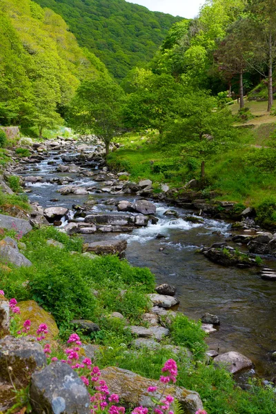 De rivier loopt van lynmouth naar watersmeet in devon — Stockfoto