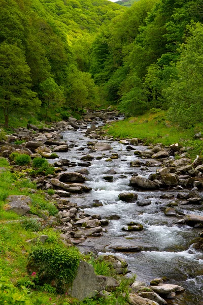 デヴォンのリンマスに石から流れる川 — ストック写真
