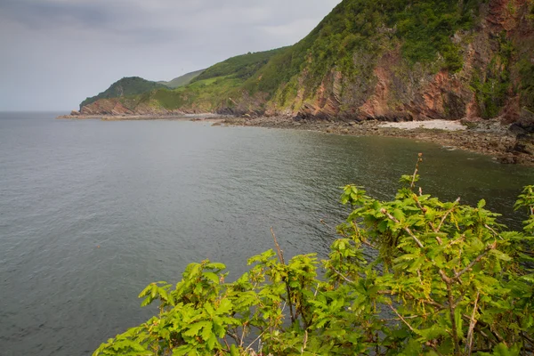 stock image Woody Bay near Lynton and Lynmouth in Devon, England