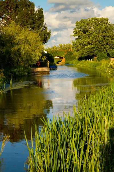 布里奇沃特和陶顿运河在英国萨默塞特 — 图库照片