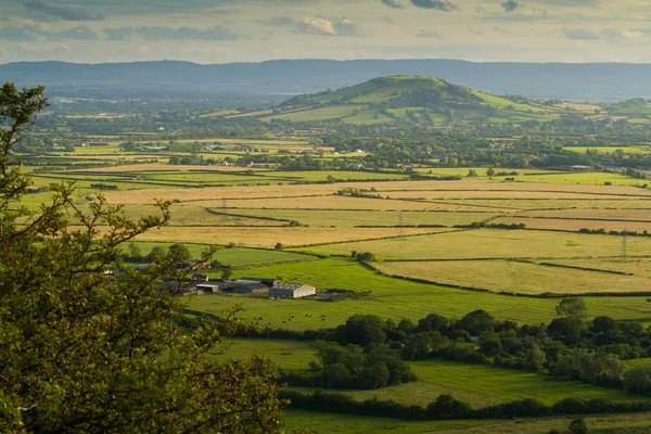 Brent Knoll Somerset viewed from Crook Peak — Stock Photo, Image