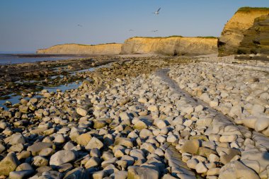 kilve plaj ve kıyı şeridi somerset içinde