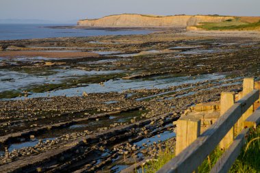 kilve plaj ve düşük gelgit somerset Sahili