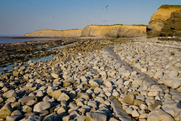 Kilve beach och kusten i somerset — Stockfoto