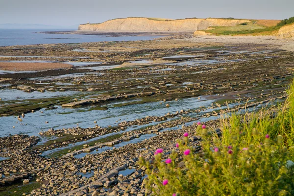 Kilve beach and coastline in Somerset — Stock Photo, Image