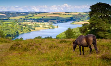 Wimbleball Lake Exmoor National Park Somerset England clipart