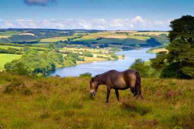 Wimbleball Lake Exmoor National Park Somerset England clipart