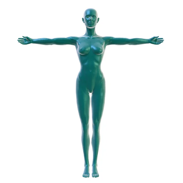 Female body on white, front view — Stock Photo, Image
