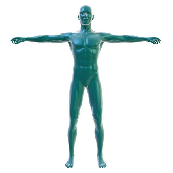 Cuerpo masculino en blanco, vista frontal Imagen de archivo