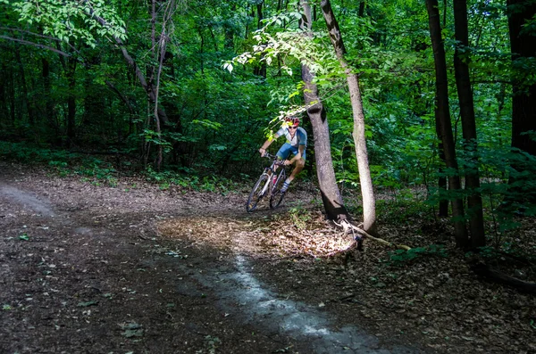 Byciclyst 나뭇잎 차례 — 스톡 사진