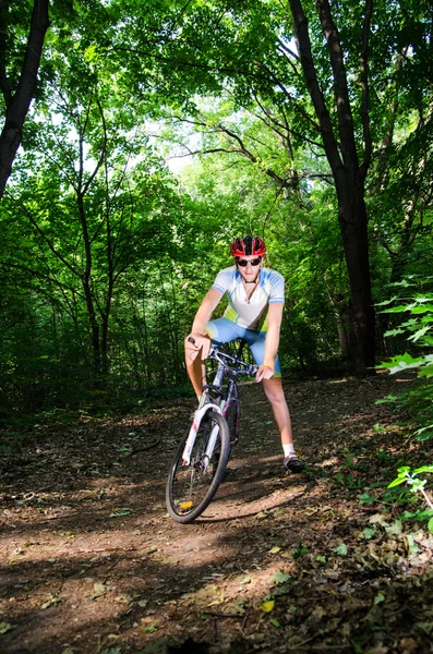 Young man stands in the wood with bike — Stock Photo, Image