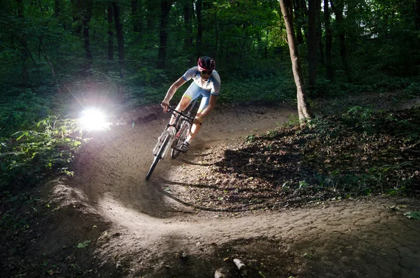 Az erdő Byciclyst kerékpár Stock Kép