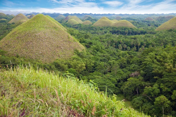 Chocolate Hills in Bohol — Stock Photo, Image