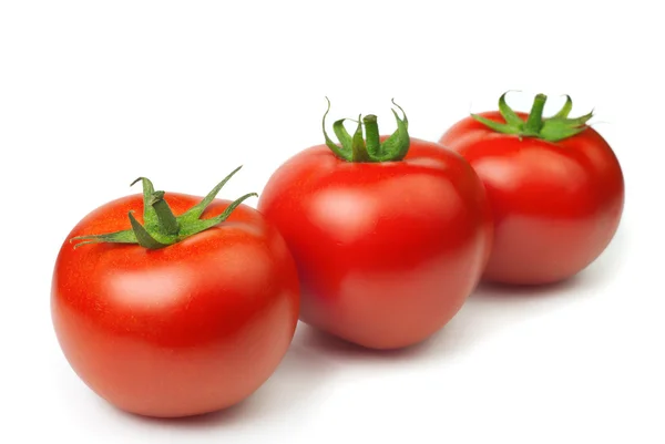 Tomates op witte achtergrond — Stockfoto