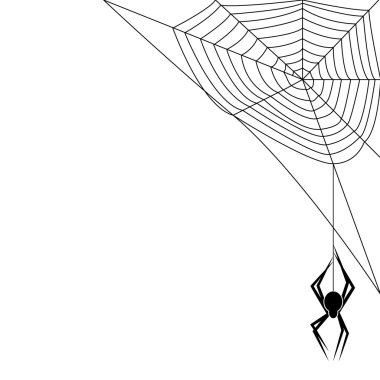 Spider clipart