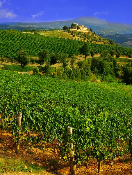 Italienske landskap – stockfoto