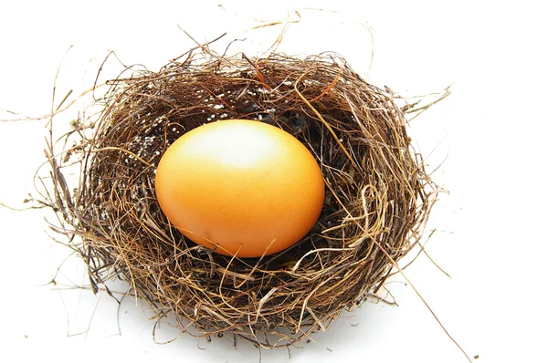 Brązowy jajko — Zdjęcie stockowe