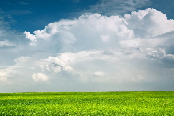 Rain cloud over green plain — Stock Photo, Image