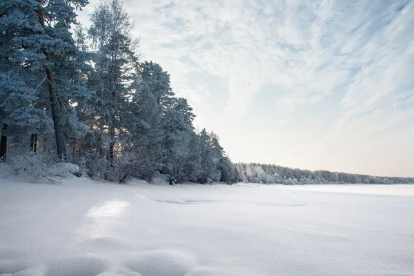 Rivière gelée dans la forêt en bel hiver — Photo