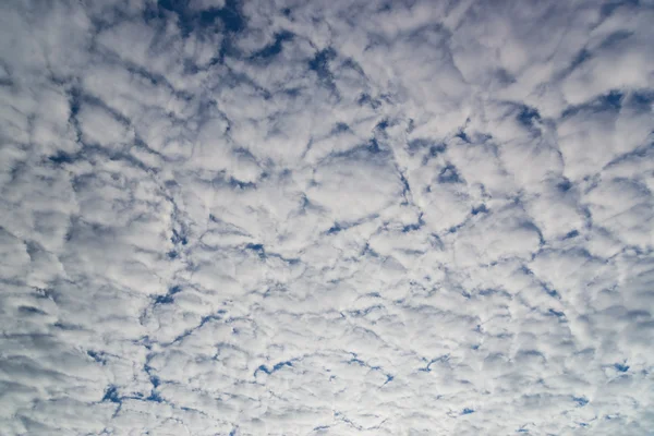 Cirrocumulus moln i himlen genomskinlig solen — Stockfoto