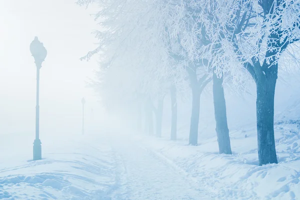 Spookstad winter mist aan kade straat met witte bomen — Stockfoto