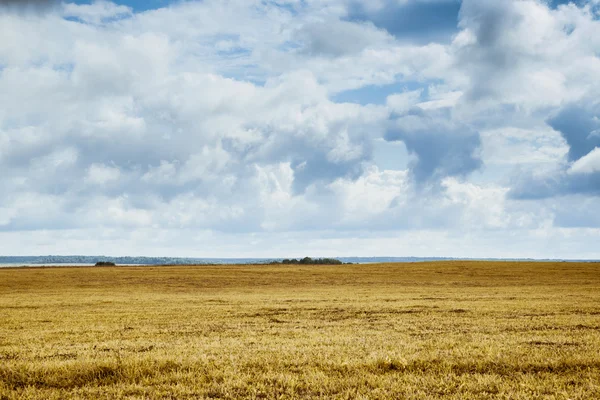 Фон поля с сухой травой на равнине — стоковое фото