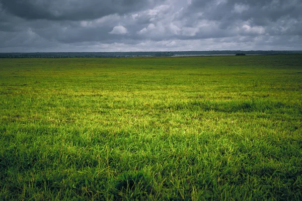 Hintergrund Feld mit grünem Gras Vignette auf Ebenen — Stockfoto